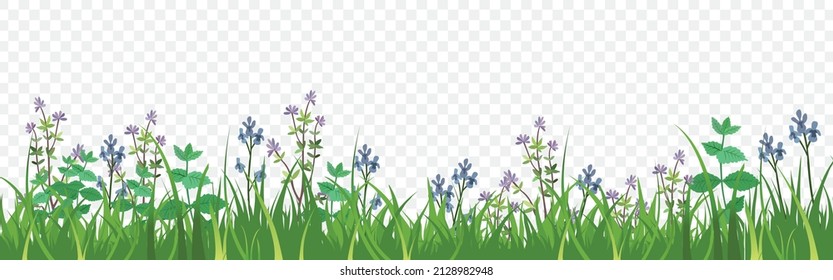 Spring flowers and clouds, vector background