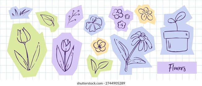 Spring flowers collection hand