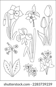 Spring flowers collection. Set of vector vegetal botanical decorative elements in black and white, contours and different forms of spring flowers, silhouettes of leaves and flowers.