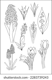 Spring flowers collection. Set of vector vegetal botanical decorative elements in black and white, contours and different forms of spring flowers, silhouettes of leaves and flowers.
