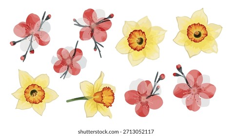 Colección de flores de primavera con fondo transparente