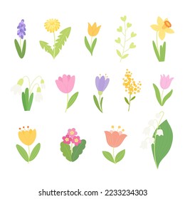 Spring flowers collection. Vector flat illustration.