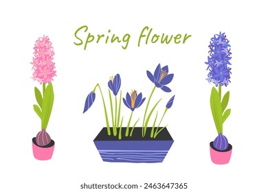 Spring flowers collection. Vector illustration isolated for seasons greeting postcard, poster, wedding invitation, web banner, spring sale advertising, gardening, holiday, gift