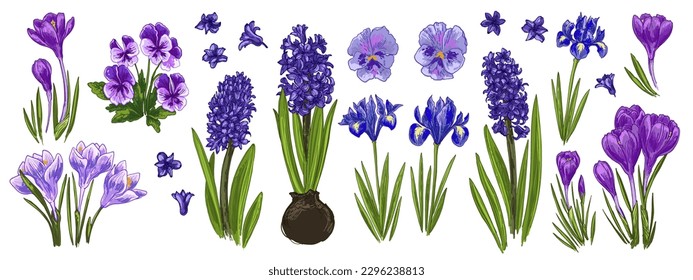 Spring flowers color drawing vector. Big set summer flowers