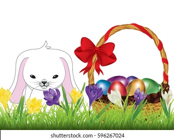 Spring flowers, colorful crocus and cute white rabbit with Easter basket.