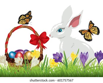 Spring flowers, colorful crocus and cute white rabbit with Easter basket.