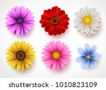 Spring flowers colorful vector set isolated in white background. Collection of daisy and sunflowers with various colors for spring season as graphic elements and decorations. Vector illustration.