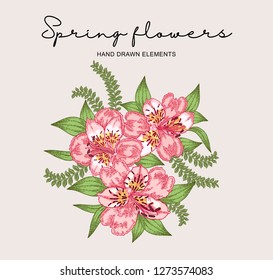 Spring flowers composition. Hand drawn alstroemeria flowers and leaves. Vintage vector botanical illustration.