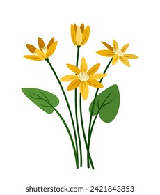 Spring flowers concept. Bloom and blossom yellow plants. Wild life and flora, botany. Aesthetics and elegance. Template and layout. Cartoon flat vector illustration isolated on white background