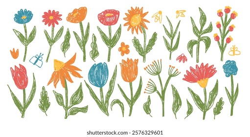 Spring flowers crayon drawn set. Tulip, daisy, chamomile and marguerite plants doodle. Summer aster floral kids elements. Chalk style childish shape. Pencil vector illustration on white background.