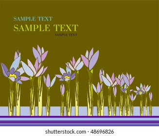 Spring flowers. Crocus