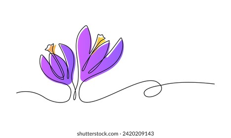 Spring flowers crocus drawn by one line. Vector illustration on a white background.