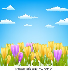 spring flowers crocus over the sky. Vector illustration