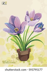 Spring flowers Crocus plant in a brown ceramic pot on watercolor background. Elegance retro vector illustration