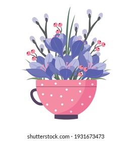Spring flowers cup: purple crocuses and willow. Vector, white background, isolated.