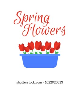 Spring flowers. Cute vector spring flowers icons. Simple flowers vector