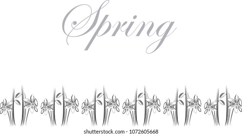 Spring flowers. Daffodils. Can be used in print. Background spring image. Frieze.

