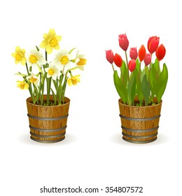 Spring flowers daffodils and tulips. vector illustration