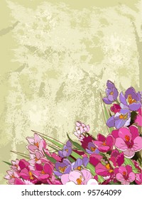 Diseño de flores de primavera con lugar para el texto