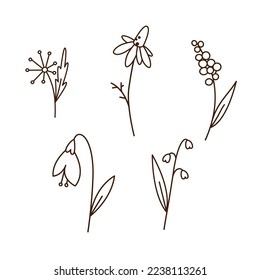 Spring flowers doodle outline drawing. Chamomile, snowdrop, lily of the valley, dandelion, hyacinth. Simple cartoon floral design elements for coloring pages.