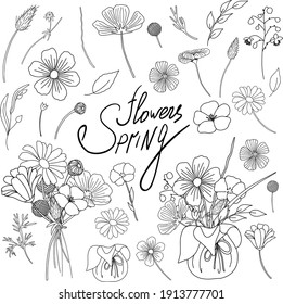 Spring Flowers Doodles style. Hand drawn botany elements. Froral collection illustrations