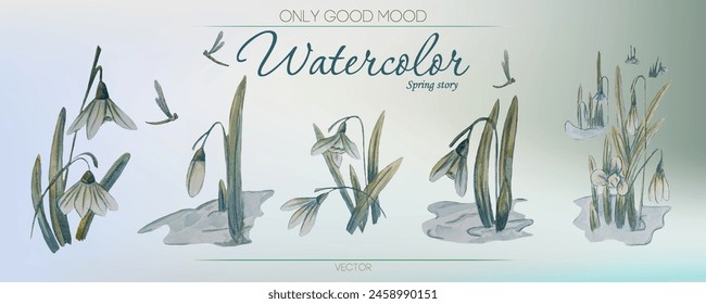Spring flowers, dragonflies, spring plants, snowdrops, March plants, watercolor vector illustration on a light background.