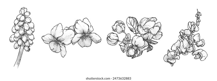 Spring flowers drawing with line art on white background
