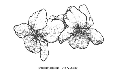 Dibujo de flores de primavera con arte lineal sobre fondo blanco