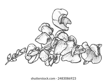 Dibujo de flores de primavera con arte lineal sobre fondo blanco