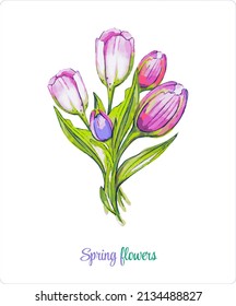 Spring flowers. A festive bouquet. Vector illustration from a set of Spring flowers. Lilies of the valley, tulips, cornflowers, daisies, snowdrops and crocuses.