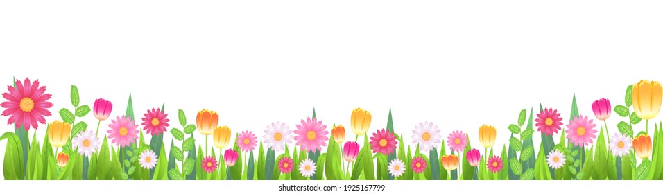 Spring flowers field white isolated