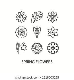 Spring flowers flat line icons set -  narcissus, crocus, lily of the valley, flax, snowdrop. Vector illustration.