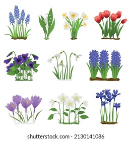 Spring flowers flat set of isolated icons with images of floral blossoms with grass and leaves vector illustration