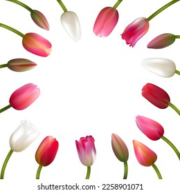 Spring flowers. Floral background. Tulips. Beautiful illustration. Red. Pink. Green leaves.