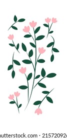 Spring flowers. Floral elements. Vector illustration