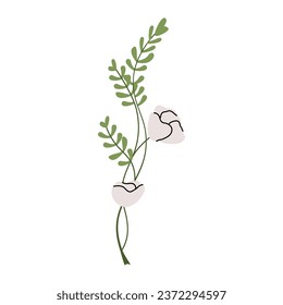 Spring flowers, floral stems, branches set. Gentle blooming field plants. Botanical decorations, anemones, freesia, spreading bellflower. Flat graphic vector illustrations isolated on white background