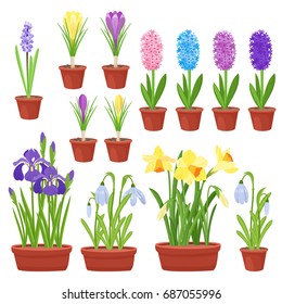 Spring flowers in flower pots. Irises,lilies of valley,tulips,narcissuses,crocuses, snowdrops and other primroses.Garden design icons isolated on white background.Cartoon style vector illustration