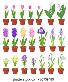 Spring flowers in flower pots. Irises,lilies of valley,tulips,narcissuses,crocuses, snowdrops and other primroses.Garden design icons isolated on white background.Cartoon style vector illustration