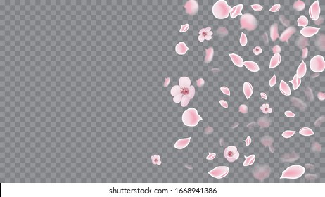 Spring Flowers. Flying Petals In Watercolor Style. Pink on Transparent. Realistic Flying Petals For Banner Design.