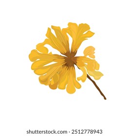 Spring flowers forsythia bloom. Yellow tabebuia flower. Tabebuia chrysantha. Nichols. Tabebuia chrysantha In full bloom.  Venezuela bellflower or tabebuia chrysantha icon, vector illustration. 