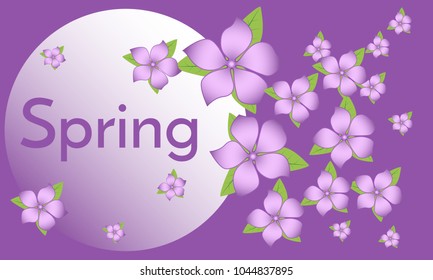 Spring Flowers Frame. Beautiful Background with Isolated Flowers for Card, Invitation, Postcard, Brochure, Banner, Flyers. Flower Composition with Text for Your Creative Design. Spring Flowering.
