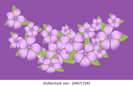 Spring Flowers Frame. Beautiful Background with Isolated Flowers for Card, Invitation, Postcard, Brochure, Banner, Flyers. Flower Composition with Text for Your Creative Design. Spring Flowering.