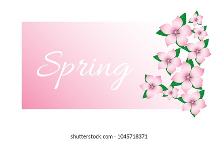 Spring Flowers Frame. Beautiful Background with Isolated Flowers for Card, Invitation, Postcard, Brochure, Banner, Flyers. Flower Composition with Text for Your Creative Design. Spring Flowering.