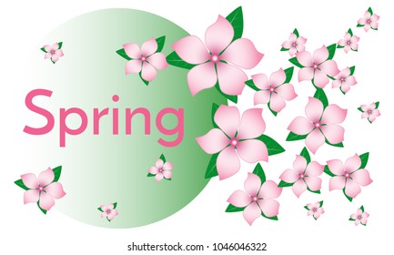 Spring Flowers Frame. Beautiful Background with Isolated Flowers for Card, Invitation, Postcard, Brochure, Banner, Flyers. Flower Composition with Text for Your Creative Design. Spring Flowering.