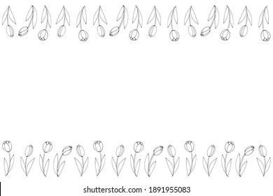 Spring flowers. Frame from outline tulips. Vector doodle hand drawn isolated. Horizontal top and bottom edging, border, decoration for greeting card, invitation, Valentine's, Women's or Mother day