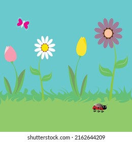 Spring flowers in the garden