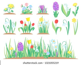 Spring flowers. Garden tulip flower, early floral plants and tulips plant gardening. Herbal green flowers bloom, decorative tulip and hyacinths. Isolated vector symbols set