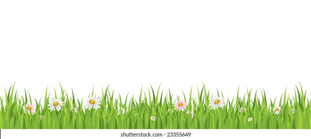 341,428 Daisy grass flowers Images, Stock Photos & Vectors | Shutterstock