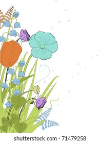 Spring flowers, grasses and ferns