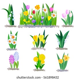 Spring flowers growing in the garden, icons and borders elements isolated on white.